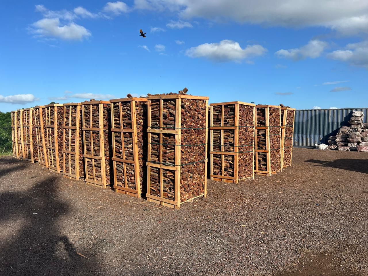Stored Kameeldoring firewood neatly arranged for export